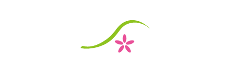 STREAM開発サイト