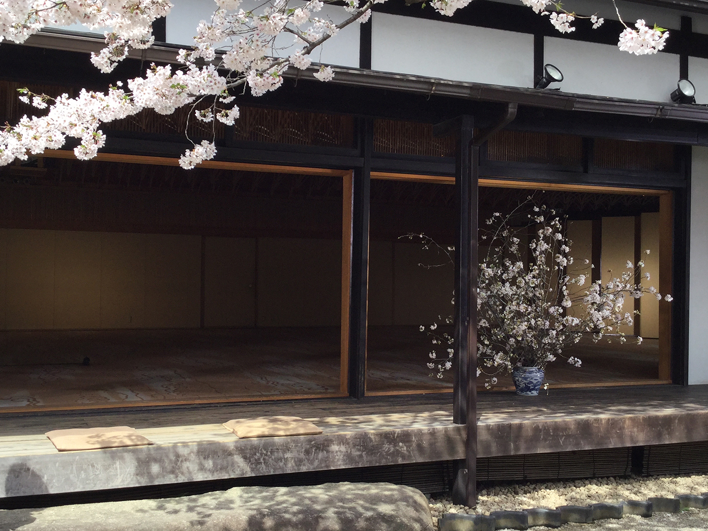 いよいよ明日リニューアルオープン！