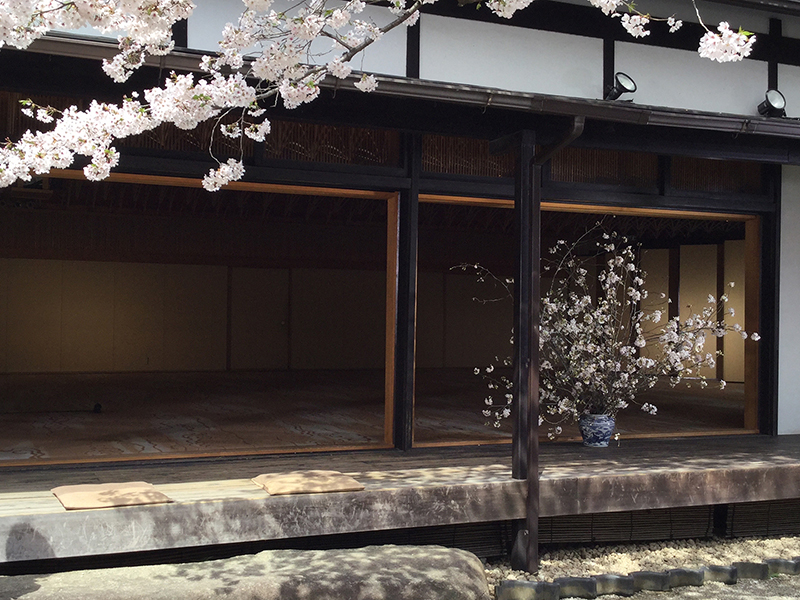 いよいよ明日リニューアルオープン！